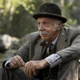 Image for article titled Deadwood lives again: A catch-up guide to its cast and characters